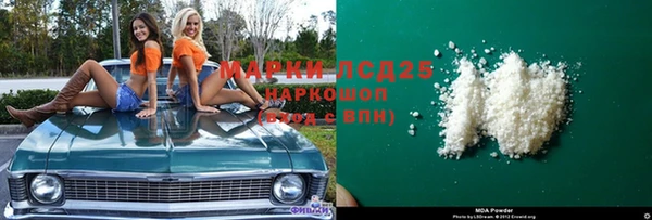 шишки Новодвинск