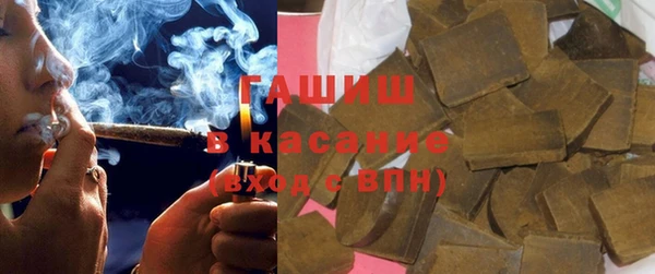 шишки Новодвинск