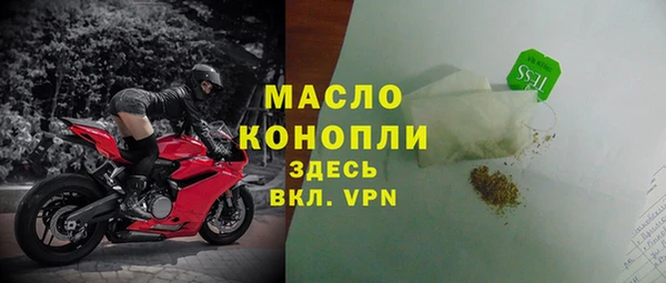шишки Новодвинск