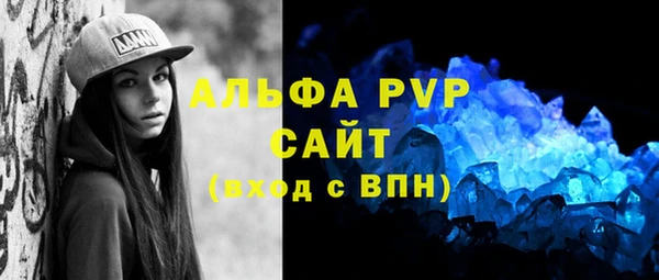 шишки Новодвинск