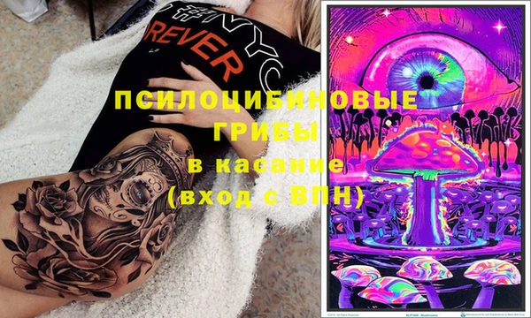 гидропоника Абинск