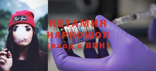шишки Новодвинск