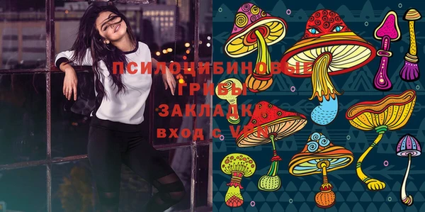 СК Абаза