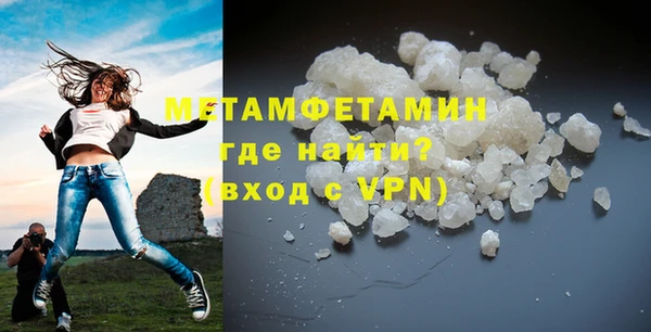 шишки Новодвинск