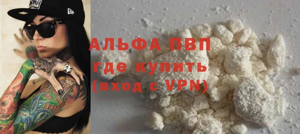 шишки Новодвинск
