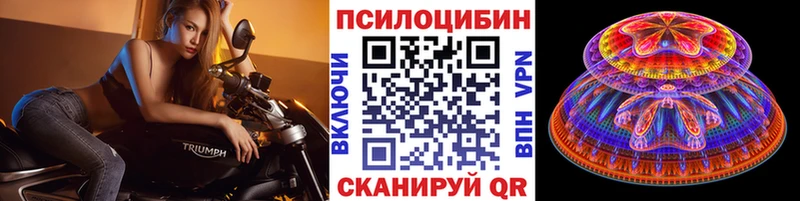 даркнет наркотические препараты  kraken ONION  Сергач  Галлюциногенные грибы мухоморы 
